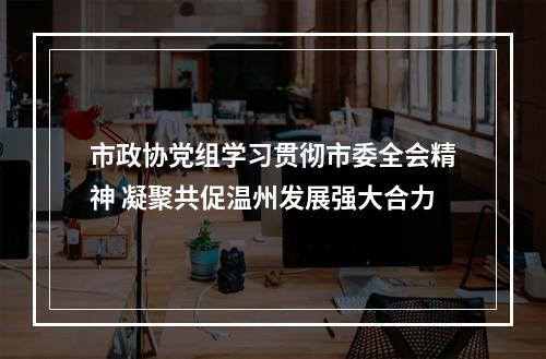 市政协党组学习贯彻市委全会精神 凝聚共促温州发展强大合力